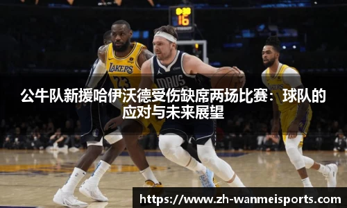 完美体育公司